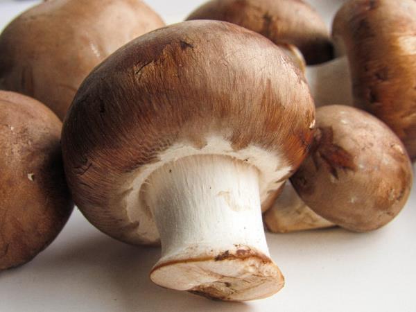 Beta-glukani iz gob krepijo imunski sistem
